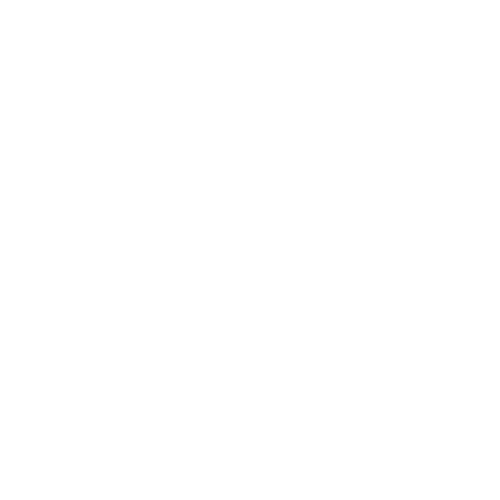 s1